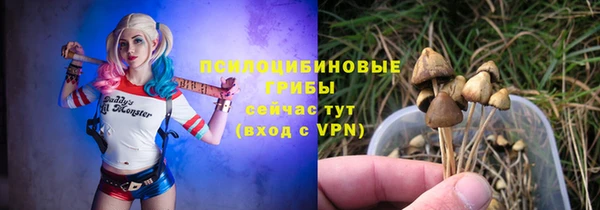 амф Няндома