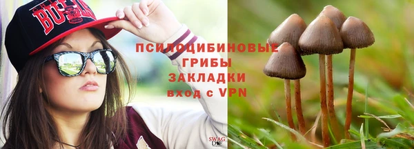 амф Няндома