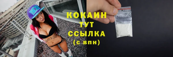 амф Няндома