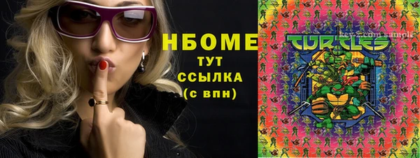 амф Няндома