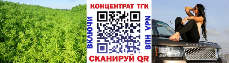 Купить закладки Прохладный ТГК жижа